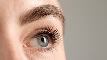 Eye Health
