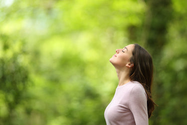 Stress Support | Nervous System