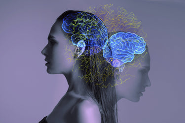 Brain & Cognitive Support
