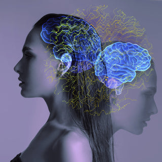 Brain & Cognitive Support