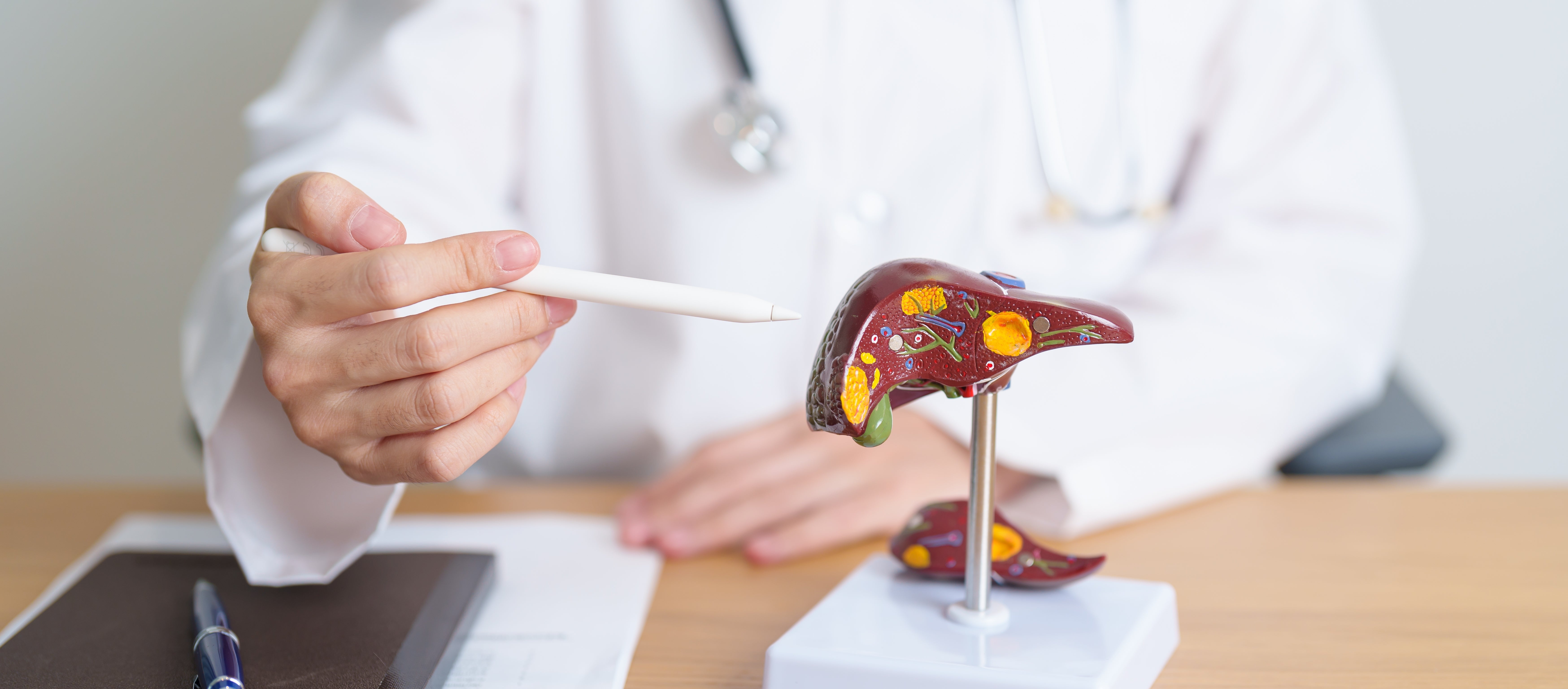 Liver Health – ING Pharmaceutical