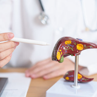 Liver Health